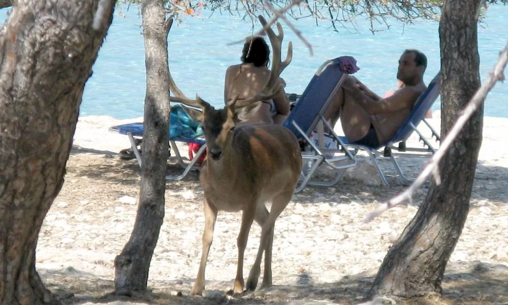 Το μοναδικό νησί του Σαρωνικού με τους "παράξενους" κατοίκους